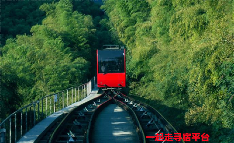 一巷一木民宿