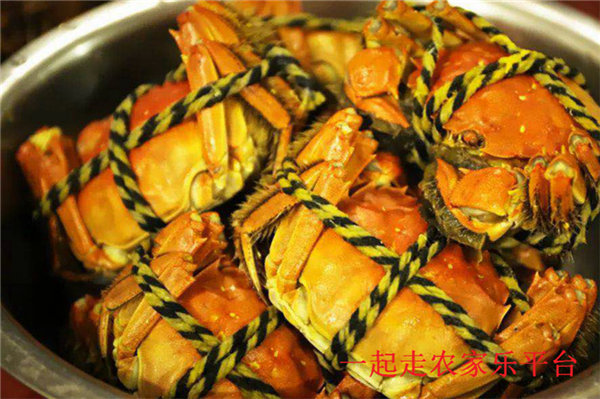 东山万顷楼(湖景房)