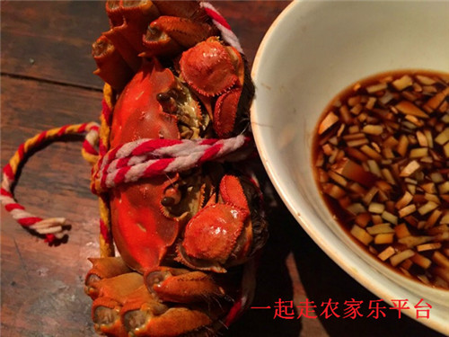 太湖缘农家乐