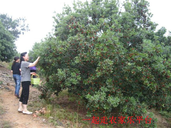 太湖缘农家乐