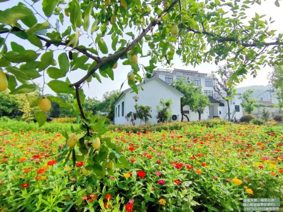 三山岛福心雅舍民宿