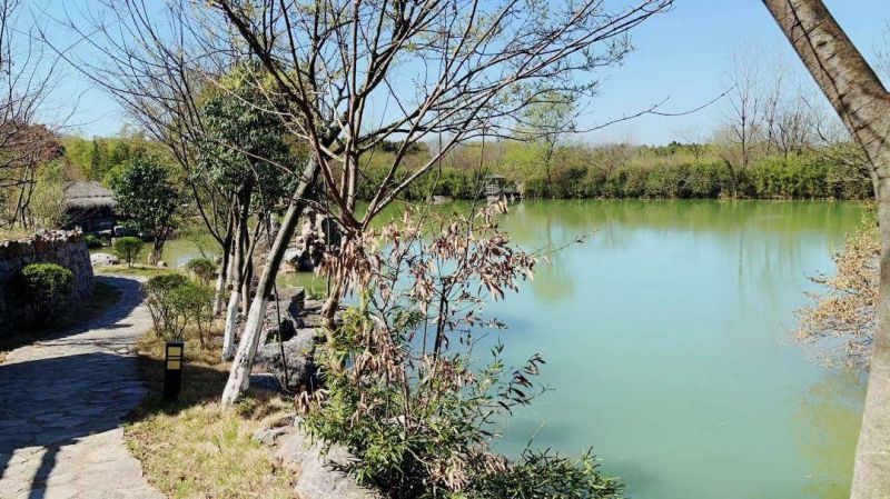 4e3c36472ed73dd1623f1945143c8a49