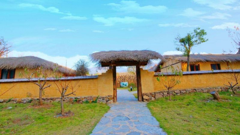 023c5902530d74b38f893483b3743df9