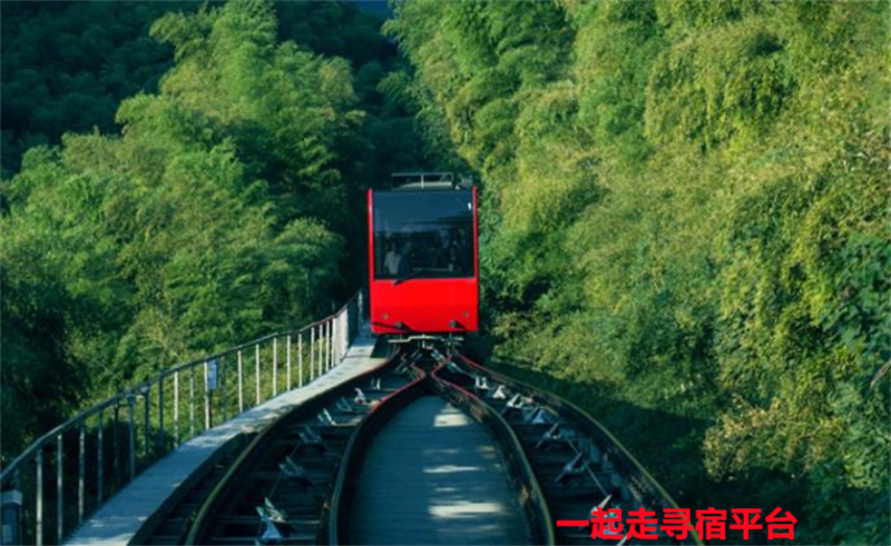 南山竹海土菜馆民宿