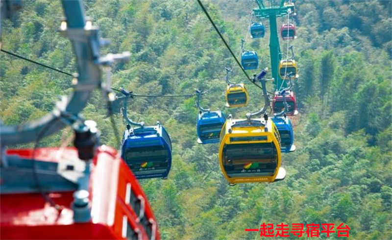 南山竹海土菜馆民宿