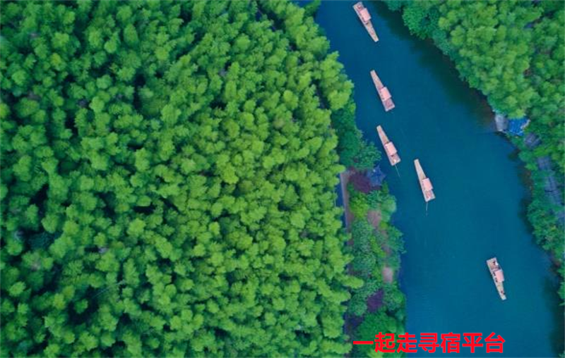 南山竹海土菜馆民宿
