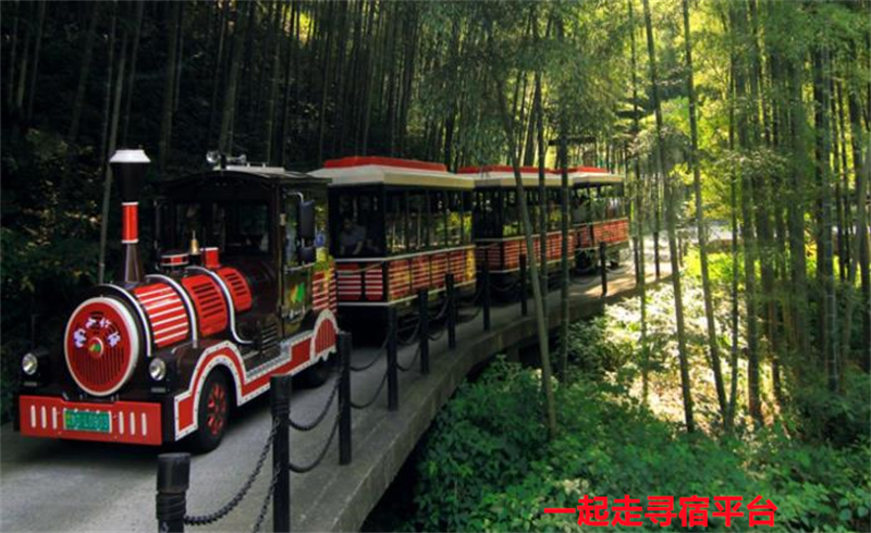 南山竹海土菜馆民宿