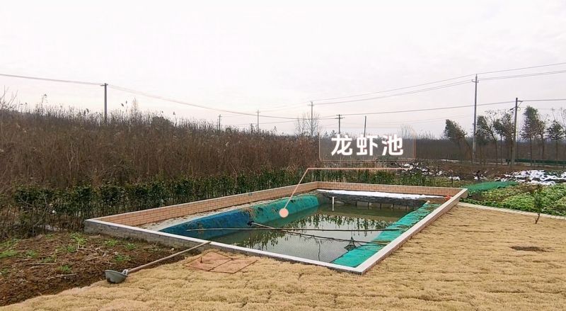 微信截图_20240103102046