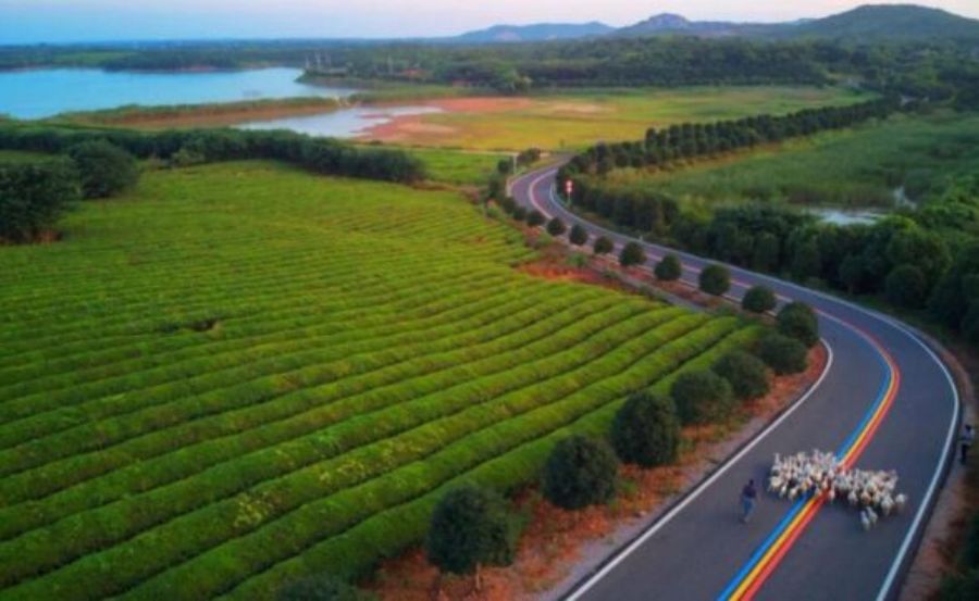 桂林新农村