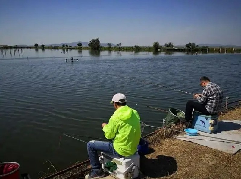 09afc7b03ba2416b8a36ef65c2171496