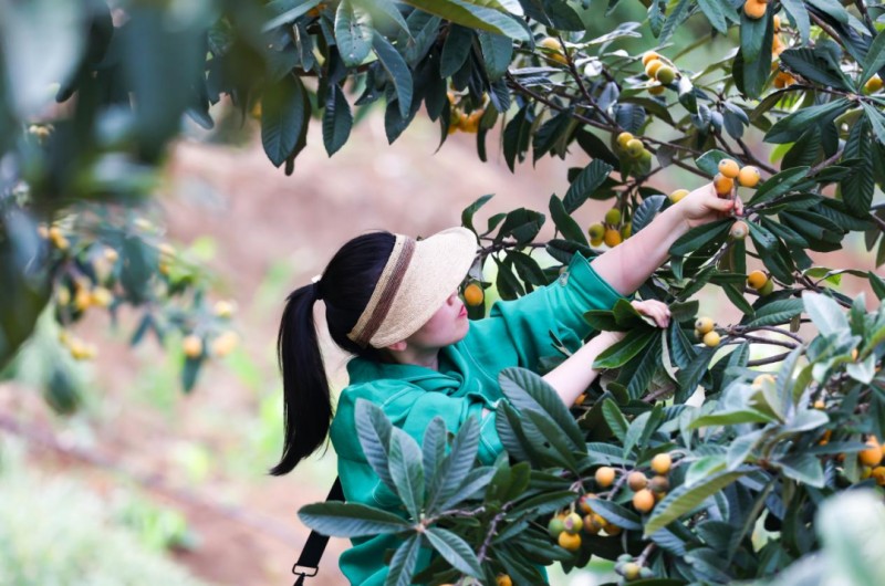 7f86c22c47556621c46638c03f33ca46